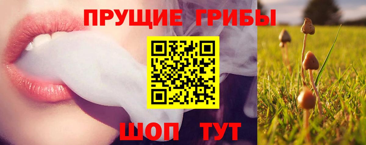 Бугуруслан  Псилоцибиновые грибы мицелий  хочу наркоту  Вход с VPN 