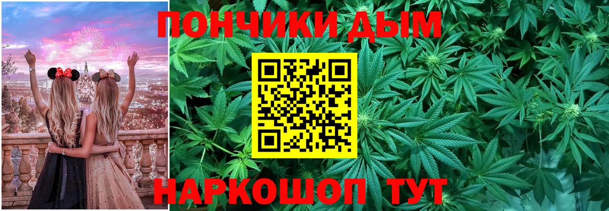 Бошки Шишки гибрид Бугуруслан